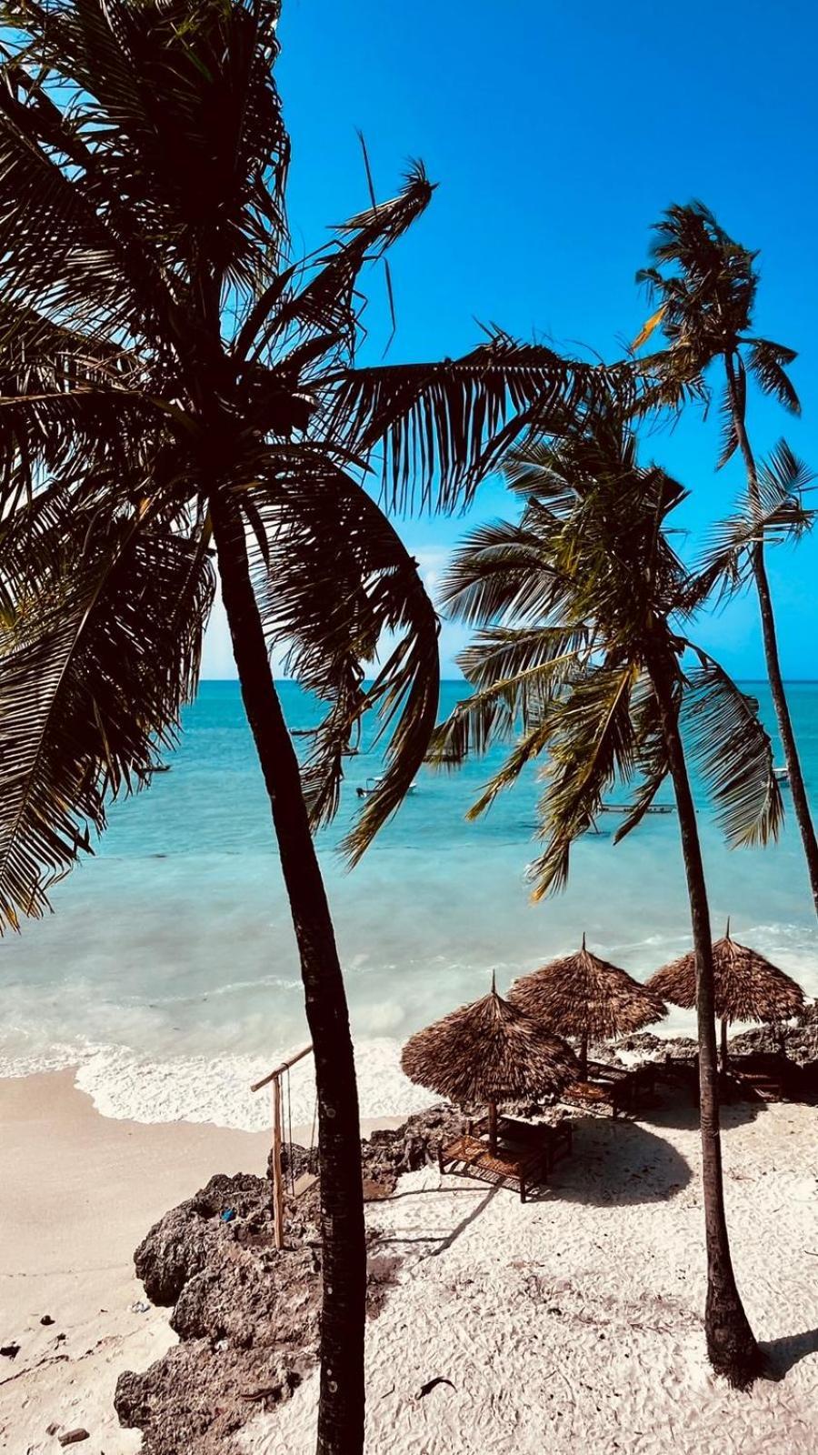 Dhow Beach Boutique Hotel Nungwi Ngoại thất bức ảnh